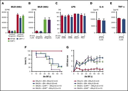 Figure 5. The role of IAPs in host hematopoietic-derived APCs is dispensable for GVHD. (A-B) In vitro MLR. Isolated splenic CD90.2+ T cells from either syngeneic B6 or allogeneic BALB/c animals were cultured with BMDCs derived from B6-WT, B6-cIAP1−/−, or B6-XIAP−/− animals for 96 hours (A) or with AT406-pretreated (1 µM; 6 hours) BMDCs derived from B6-WT for 96 hours (B) and analyzed for proliferation after 3H-thymidine incorporation during the last 16 hours of incubation. Representative data of 3 independent experiments are shown. The bar shows the mean ± SEM. (C-E) Both nontreated and AT406-pretreated (1 µM) BMDCs were harvested and stimulated through TLR4 with lipopolysaccharide (LPS; 500 ng/ml) for 16 hours. (C) Bar graphs depicting the percentages of CD80, CD86, I-Ab (MHC class II), and B7H1 (PD-L1) expression on CD11c+ DCs are shown. The supernatants were analyzed for IL-6 (D) and TNF-α (E) by ELISA. The data are representative of 3 independent experiments and show the means ± SEMs. (F-G) To make BM chimeras, B6Ly5.2 animals were lethally irradiated with 11 Gy and infused with 5 × 106 BM cells and 5 × 106 splenocytes from syngeneic B6-WT, B6-cIAP1−/−, or B6-XIAP−/− donors. Three to 4 months later, B6→B6Ly5.2, cIAP1−/−→B6Ly5.2, and XIAP−/−→B6Ly5.2 animals were irradiated with 9 Gy and received 3 × 106 CD90+ T cells along with 5 × 106 TCD-BM cells from either syngeneic B6 or allogeneic MHC-mismatched BALB/c donors. Survival (F) and clinical GVHD score (G) (n = 4-10 per group). Pooled data from 2 independent experiments are shown.