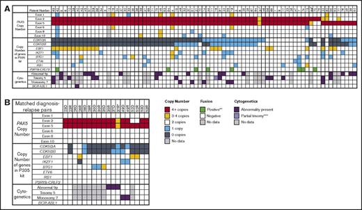 Figure 2. Genetic features of patients with PAX5AMP. (A) Data for the 77 patients with intragenic amplification of PAX5 identified at diagnosis. The copy numbers for each PAX5 exon and the other genes targeted by the P335 IKZF1 MLPA kit are shown. Cytogenetic results were available for 57 patients, with abnormalities involving the short arm of chromosome 9, trisomy 5, and monosomy 7 being the most common recurrent chromosomal abnormalities. †In patient 31, the probe ratio values for exons 2 and 5 were just below the cutoff of 2 for ≥4 copies; because the percentage of blast cells was low at 83.5%, this result was interpreted as amplification. ‡In patient 69, MLPA showed that exon 2 had a ratio of 2.42 and exon 5 of 1.69; however on the single-nucleotide polymorphism array, exons 2 to 5 were amplified. (B) Data from 9 matched diagnosis-relapse pairs. *In patient 37, the difference in copy number of the amplified exons between diagnosis and relapse was due to reduced percentage of blasts at relapse. **P2RY8-CRLF2 fusion assessed by MLPA, FISH, and/or reverse-transcriptase polymerase chain reaction. ***Patient 16 presented with partial trisomy of chromosome 5 as a result of an unbalanced translocation involving chromosomes 1 and 5: 47,XY,der(1)(1qter-1p21::5q?34-5qter),+der(5)(5pter-5q15::1p21-1pter).