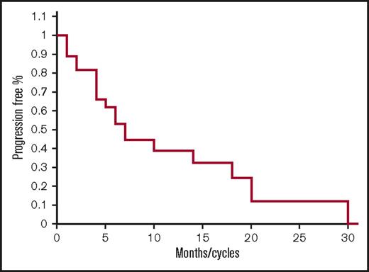 Figure 1. Progression-free survival for all patients. Kaplan-Meier PFS curve for all patients treated with FRD.