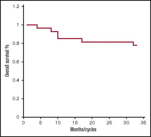 Figure 3. Overall survival. Kaplan-Meier overall survival curve for all patients treated with FRD (n = 27).