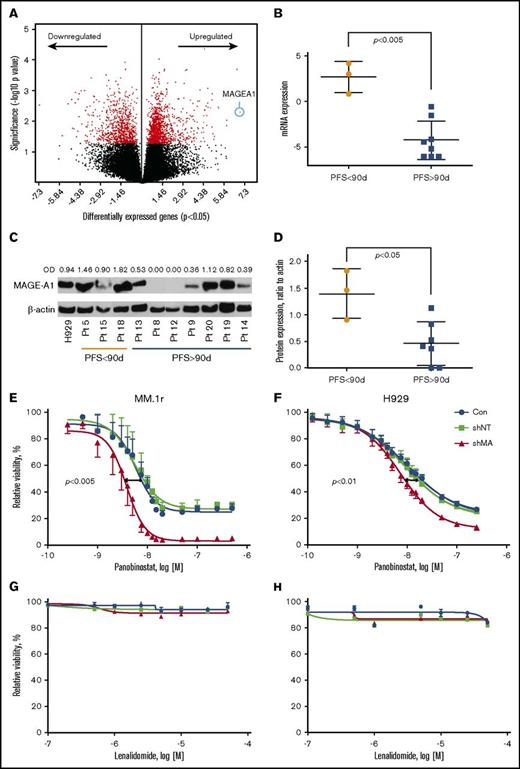 Figure 4. Correlation of MAGE-A1 expression with PFS in patients treated with FRD and knockdown of MAGE-A in HMCLs. MAGE-A1 expression is correlated with resistance to FRD chemotherapy. (A) Analysis of gene expression profiling data by RNASeq from CD138+ myeloma cells obtained at screening based on PFS < 90 days (short PFS) vs PFS > 90 days (long PFS) enriched a set of 1898 differentially expressed genes (down- or upregulated relative to comparator). MAGEA1 was the most highly upregulated gene associated with short PFS (blue circle). (B) Quantitative analysis of MAGEA1 transcript abundance in short vs long PFS subjects demonstrated significantly higher expression associated with short PFS (P < .005). (C) Western blot for MAGE-A1 protein in lysates from screening specimens. OD, relative optical density = OD (MAGE-A1)/OD β-actin load control. (D) Quantitative analysis of MAGE-A1 relative OD in short vs long PFS subjects demonstrated significantly higher protein expression associated with short PFS (P < .05). (E-H) MM.1r (E,G) or H929 (F,H) HMCL were treated with MAGE-A shRNA lenti or controls for 24 hours (MM.1r) or 48 hours (H929) and then incubated with increasing concentrations of panobinostat (E-F) or lenalidomide (G-H). Cell viability was assessed 24 hours later by Cell TiterGlo assay (ProMega). Knockdown of MAGE-A was correlated with a significant increase in sensitivity to panobinostat-induced cell death. MM.1r (E), 50% inhibitory concentration (IC50) of shMA group = 3.8 nM vs IC50 of shNT group 5.6 nM, P < .005. H929 (F), IC50 (shMA) = 7.4 nM vs IC50 (shNT) = 9.2 nM, P < .01. Error bars indicate standard error of the mean; data pooled from 3 experiments. Con, control; mRNA, messenger RNA.