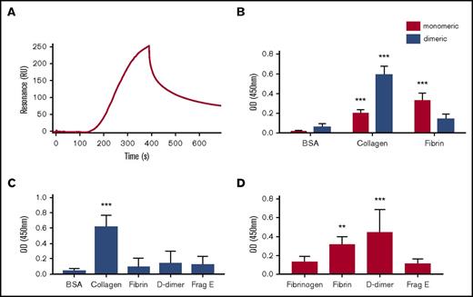 Figure 3. Monomeric GPVI but not dimeric GPVI binds to fibrin. SPR was performed using OneStep titration as described in "Materials and methods." (A) Representative SPR binding curve using 1 μM of GPVI. The calculated KD was 302 ± 5 nM. Solid-based binding assay was performed in nunc maxisorb 96-well plates coated overnight with 10 μM of bovine serum albumin (BSA), collagen, fibrinogen, or fibrin. (B) Monomeric (red bars) or dimeric (blue bars) GPVI (100 nM) was incubated as described. (C) Revacept, a dimeric GPVI, was allowed to bind to 10 μM of BSA, collagen, human fibrinogen, fibrin, D-dimer, or fragment E (Frag E). (D) Monomeric GPVI was allowed to bind to 10 μM of human fibrinogen, fibrin, D-dimer, or fragment E. Bound GPVI was detected using HRP coupled to an anti-6×His monoclonal antibody for monomeric GPVI or an anti-human immunoglobulin for dimeric GPVI and Revacept. The histograms (mean ± standard deviation) show the results from 5 independent experiments. **P < .01, ***P < .001 compared with a control (BSA or fibrinogen). OD, optical density.