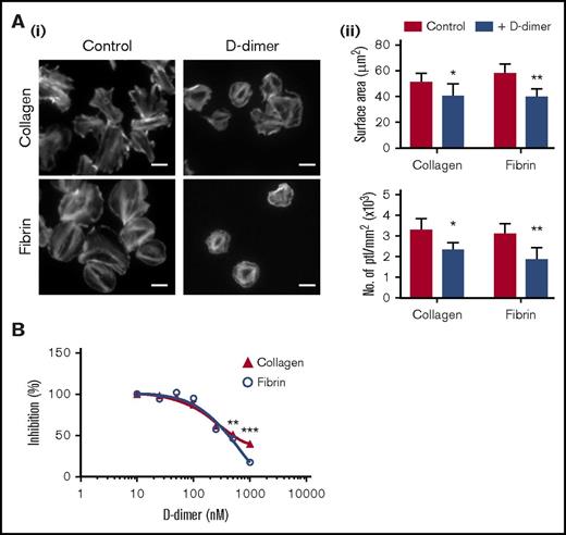Figure 6. D-dimer in suspension reduces platelet spreading on collagen and fibrin. (Ai) Glass coverslips were coated with collagen or fibrin as described in "Materials and methods." Human platelets (ptl; 20 × 109/L) were preincubated with D-dimer (100 μg/mL) before being allowed to spread on coated coverslips. Actin staining was performed on fixed platelets with Alexa-488 phalloidin. Scale bar, 5 μm. (Aii) Quantification of the surface area of platelets and the number of platelets per millimeter squared of 3 independent experiments. In each independent experiment, 5 random pictures were analyzed (100 platelets in total). The results are shown as mean ± standard deviation (SD). *P < .05, **P < .01. (B) The graph represents the competition binding assay between monomeric GPVI (100 nM) and D-dimer on collagen- or fibrin-coated surfaces. Binding in the absence of D-dimer is represented as 100%. The results are shown as mean ± SD and are representative of 3 experiments. **P < .01, ***P < .001.