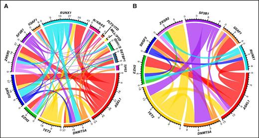 Figure 1. Circos diagrams illustrating the different comutation patterns. Panels A and B depict the co-occurrence of mutations in patients with higher vs lower lncRNA scores, respectively. Ribbon widths are proportional to the frequencies of mutation co-occurrence.