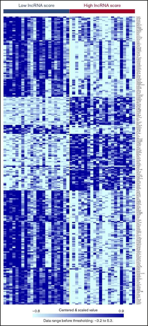Figure 5. Heatmap demonstrating differential gene expression. Depicted are the 255 genes that are differentially expressed between patients with the highest (> average +1 SD, n = 22) and the lowest (< average − 1 SD, n = 22) lncRNA risk scores.
