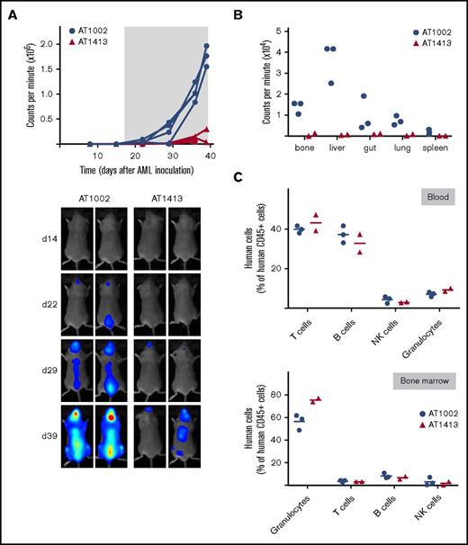 Figure 5. Anti-AML effect of AT1413 in vivo. (A) HIS mice with human AML (luciferase-GFP transduced SH2) received biweekly treatment with AT1413 or control antibody AT1002 (15 mg/kg IV, indicated by asterisk). AML progression was measured by bioluminescence (CPM) after luciferase injection. (B) Bioluminescence of individual organs harvested after mice were sacrificed. (C) Human T cells, B cells, NK cells, and granulocytes, expressed as proportion of human CD45+ hematopoietic cells (excluding CD45dim AML cells) in blood and bone marrow of AT1413- and AT1002-treated mice.