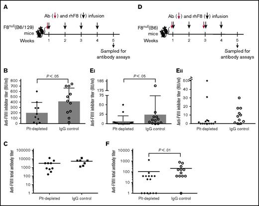 Figure 6. The titers of anti-FVIII antibodies in hemophilia A mice after platelet depletion followed by rhF8 immunizations. (A) Schematic diagram of platelet depletion and rhF8 infusion in F8null(B6/129S) mice. Ab, anti-GPIb antibody. Animals were infused IV with a single dose (2 mg/kg) of anti-GPIb antibody followed by 4 doses of rhF8 immunization (50 U/kg per week by IV injection). Isotype IgG was used in parallel as a control. (B) The inhibitor titers in F8null(B6/129S) mice. One week after the last immunization, anti-FVIII inhibitors were determined by Bethesda assay. (C) The total anti-FVIII antibody titers in F8null(B6/129S) mice. One week after the last immunization, total anti-FVIII antibody titers were determined by ELISA. (D) Schematic diagram of platelet depletion and rhF8 infusion in F8null(B6) mice. Anti-GPIb antibody was infused at the first week at a dose of 2 mg/kg and the third week at a quarter dose (0.5 mg/kg) followed by rhF8 immunizations (50 U/kg per week IV ×4). Isotype IgG was used in parallel as a control. (Ei) The inhibitor titers in F8null(B6) mice. One week after the last immunization, inhibitor titers were determined by Bethesda assay. (Eii) The titers of inhibitory antibodies in immunized F8null(B6) mice with inhibitors ≤50 BU/mL. This is a zoom-in look at the lower part of panel Ei. (F) The total anti-FVIII antibody titers in F8null(B6) mice. One week after the last immunization, total anti-FVIII antibody titers were determined by ELISA.