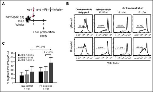 Figure 7. Ex vivo T-cell proliferation assay assesses CD4+ CD25+ Foxp3+ Treg cells in response to rhF8 restimulation. Splenocytes from F8null(B6/129S) mice after single dose of R300 and rhF8 infusion were labeled with CellTrace Violet and cultured with or without rhF8 for 96 hours. Recombinant factor IX (rhF9) was used as a nonrelevant antigen control. ConA was used as a positive control for T-cell proliferation assay. Isotype IgG-treated F8null mice were used as a control in parallel. Cells were stained for CD4, CD25, and Foxp3 and analyzed by flow cytometry for daughter cells. (A) Schematic diagram of platelet depletion and rhF8 infusion in F8null(B6/129S). (B) Representative flow cytometry histograms of Treg cell proliferation. (C) Treg cell proliferation graph.