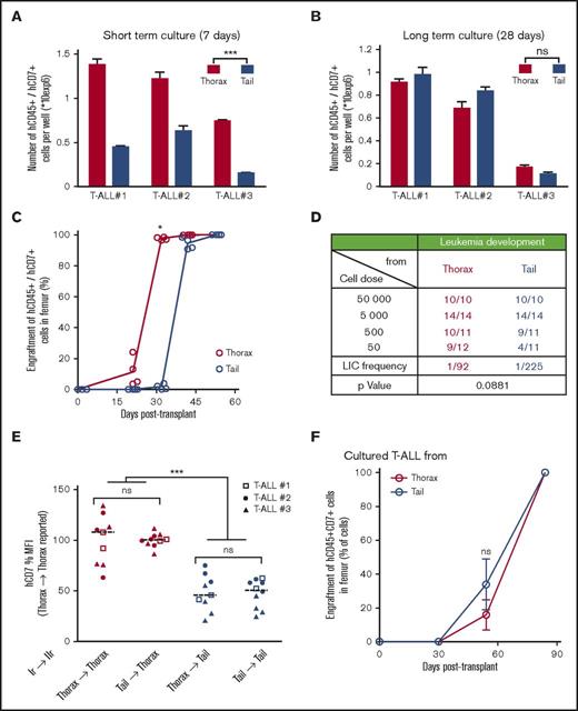 Figure 3. T-ALL characteristics are under BM niches influence. (A) Leukemic cell production starting from freshly purified hT-ALL cells derived from thoracic or tail vertebrae BM after short-term (left; day 7) or (B) long-term (right; day 28) coculture with MS5-DL1 stromal cells. Shown are means ± SEM of triplicate cultures. (C) Kinetic of leukemia development in secondary mice after transplantation of 500 hT-ALL#1 cells recovered from thorax (red) and tail (blue) vertebrae. Secondary transplantations of hT-ALL#2 and hT-ALL#3 are provided in supplemental Figure 3. (D) Limiting dilution transplantation of 3 hT-ALL (#1-#3) isolated from thoracic or tail BM into secondary mice (from 5 × 104 cells to 50 cells per mouse). T-ALL development was monitored using iterative femur samplings. Positive mice contain more than 90% hCD45+/hCD7+ T-ALL cells. (E) Human hCD7 cell-surface expression of hT-ALL recovered in tail and thorax vertebrae from secondary mice (IIr, 19 mice) transplanted with hT-ALL isolated from primary (Ir) mouse tail and thorax. (F) Thorax- and tail-derived hT-ALL#1 cells were grown in coculture with MS5-DL1 cells for 12 days before transplantation into secondary mice (500 cells/mouse, 4 mice/niche). Kinetic of hT-ALL engraftment in the femurs of mice is shown. Representative of 2 experiments. Mean data (± SEM) are indicated. Statistics are calculated according to nonparametric Mann-Whitney U test (*P < .05; ***P < .001).