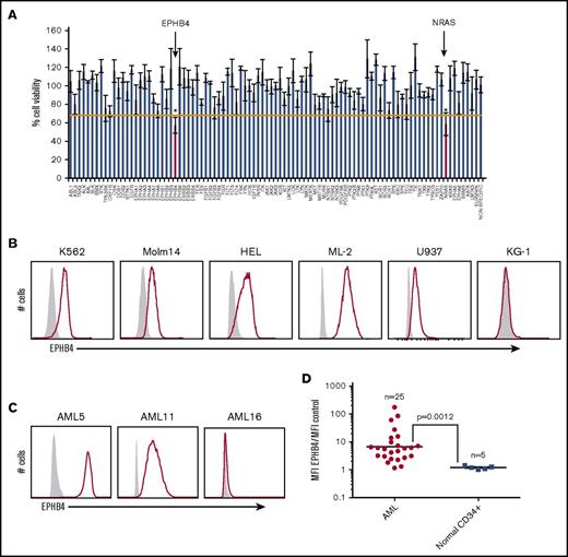 Figure 1. EPHB4 is expressed in AML. (A) Representative plot of 1 primary AML sample that screened positive for sensitivity to RNAi against EPHB4. This particular sample had a validated mutation in NRAS, which serves as a positive control, because AML cells demonstrate similar sensitivity to RNAi against NRAS as they do against EPHB4. *P < .05. (B) Cell surface EPHB4 expression in myeloid leukemia cell lines as measured by flow cytometry. The IgG isotype used to determine negative population is in gray. (C) Cell surface EPHB4 expression on primary AML blasts representing high (AML5), moderate (AML11), and no (AML16) expression as measured by flow cytometry. (D) Summary of EPHB4 expression on primary AML (n = 25) and normal, human CD34+ bone marrow cells obtained from healthy donors. Expression was measured by flow cytometry, and MFI was calculated and divided by the MFI of negative control. Results are plotted on log scale, therefore the expression ratio of 1 corresponds to no expression. The bar represents average MFI. P = .0012