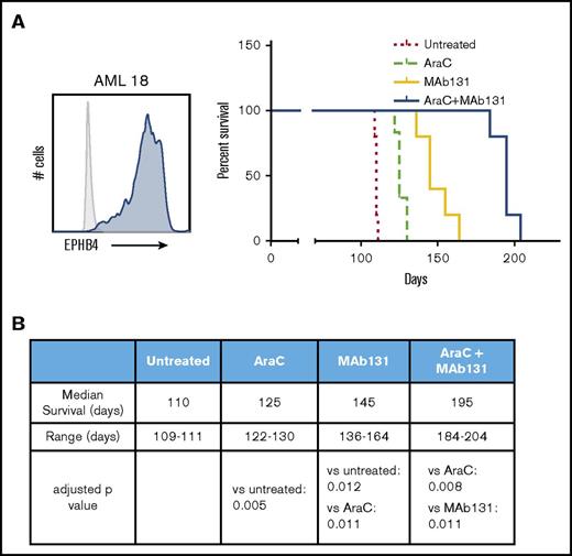 Figure 4. MAb131 demonstrates in vivo activity against primary AML. (A) Immunodeficient (NSG) mice were injected with 1 × 106 EPHB4+ primary AML cells (AML18) to create orthotopic xenografts. AML18 was characterized by normal cytogenetics, CEBPA mutant, and NPM1 mutation; 5 to 6 NSG mice per treatment group. Two weeks after injection, treatment mice were treated with PBS (untreated), AraC (50 mg/kg IP weekly), MAb131 10 mg/kg 3 times per week, or the combination. Treatments continued until all control mice were killed for evidence of disease. Remaining mice were observed for survival. Engraftment was confirmed at necropsy. (B) The table predicts median survival, range, and adjusted P values, after Bonferroni correction, for each survival curve.