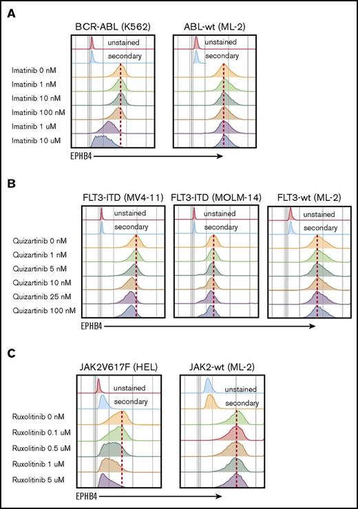 Figure 5. EPHB4 expression is driven by mutations found in AML. (A) Treatment with inhibitor of BCR-ABL (imatinib) led to a decrease of EPHB4 expression on the surface of bcr-ABL–containing K562 cells lines, with no change in ML-2 cells, which had wild-type (wt) ABL. (B) Treatment with the specific FLT3 inhibitor, quizartinib led to a decrease of EPHB4 expression in FLT3-ITD–containing MV-4-11 and MOLM-14 cells, but no change in FLT3-wt cells. (C) Treatment with the JAK inhibitor ruxolitinib resulted in a decrease of EPHB4 expression on JAK2V617F-containing HEL cells, with no change in JAK2-wt controls.