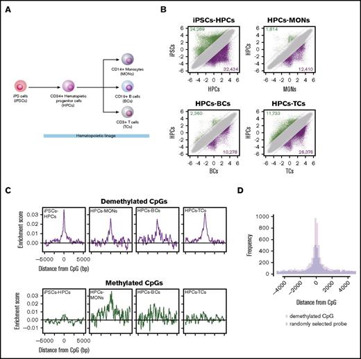 Figure 6. RUNX1-binding motif overrepresentation analysis of differentially methylated regions during hematopoietic development. (A) Differentiation hierarchy of hematopoietic development. (B) Scatter plots of M-values between induced pluripotent stem cells (iPSCs) and CD34+ hematopoietic progenitor cells (HPCs), between HPCs and CD14+ monocytes (MONs), between HPCs and CD19+ B cells (BC), and between HPCs and CD3+ T cells (TCs). Dashed black lines represent ΔM borders of >2. Green, purple, and gray dots represent significantly methylated, demethylated, and insignificant probes, respectively. Numbers of methylated and demethylated CpGs in each comparison are shown in the upper left and lower right of each plot, respectively. (C) Distribution of RUNX1-binding motif enrichment scores at ±5000 bp from DMCs. (D) Histogram showing distribution of RUNX1 ChIP-seq peaks in HPCs around demethylated regions of iPSC-HPCs (pink bars) and randomly sampled same number of probes (light blue bars). The overlapped regions are shown in purple.