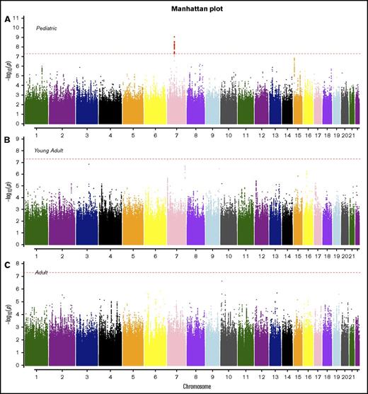 Figure 2. Manhattan plots for SNP associations with B-ALL by age. (A) Pediatric (<20 years), (B) young adults (20-40 years), and (C) older adults (>40 years). The x-axis indicates the chromosome and the y-axis is the −log10 P value from meta-analyses of SNP associations with B-ALL in cohorts 1 and 2. The dashed red line indicates genome-wide significance of P > 5.0 × 10−8. The SNPs highlighted in red on chromosome 7 (pediatric) are known variants in IKZF1.
