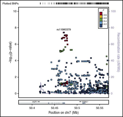 Figure 4. Regional plot of sex-specific associations with B-ALL in IKZF1. Regional plot of sex-specific associations with B-ALL in the IKZF1 region. The x-axis is the position on the chromosome (Mb), and y-axis is the −log10 P value. The squares (male) and circles (female) show the P value for the SNP association with risk of B-ALL. Filled colors indicate the LD with the most significant SNP shown in purple. Red indicates a high degree of LD whereas blue indicates lower r2.