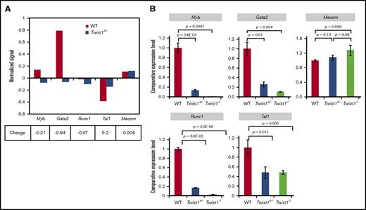 Figure 3. Gene expression analysis of hematopoietic transcription factors in 10.5-dpc IACs. (A) Gene expression analysis of WT and Twist1+/− IACs, as assessed by microarray. Normalized signals of indicated transcription factors are shown. Fold change was calculated by dividing the normalized signal from Twist+/− IACs by the normalized signal in WT IACs. Among factors analyzed, Myb and Gata2 were downregulated in Twist1+/− IACs. (B) Validation of microarray data. RNA from sorted c-Kit+CD31+CD34+ cells was extracted from 10.5-dpc AGM tissue of mice of indicated genotypes, and gene expression was assessed by real-time PCR using TaqMan probes. Comparative expression levels were calculated using the 2−ΔΔCT method. WT IAC sample served as a reference. Data shown are means ± SD of technical triplicate samples.