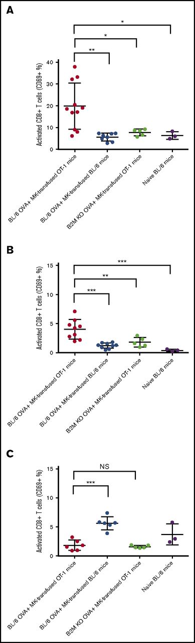 Figure 5. MKs presentation activates CD8+ T cells in vivo. MKs from WT or B2M KO mouse donors were pulsed with OVA and transfused in OT-1 or WT BL/6 mice. After 48 hours, mice were sacrificed and the percentage of activated CD8+ T cells was measured considering the CD69 expression in spleen (A), blood (B), and lymph nodes (C). NS, not significant. One-way ANOVA with a Tukey correction for multiple testing; n ≥ 3; mean with SD; ***P < .001; **P < .01; *P < .05; each n corresponds to an independent MK donor and recipient mouse.