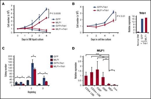 Figure 3. MLF1 suppresses the Trib1-induced growth advantage of hematopoietic cells and is expressed in normal hematopoiesis. (A-C) Primary BM cells were infected with control GFP and MLF1-IRES-GFP retroviruses together with or without pMSCV-neo-Trib1. GFP-positive cells in infected BM cells were isolated by cell sorting and maintained in BM medium. Cell numbers were enumerated for growth curves (A). GFP-positive cells in panel A were transferred to and maintained in IL-3–containing medium. Cell numbers were enumerated for growth curves (B). GFP-positive cells in infected BM cells were isolated by cell sorting and plated in a methylcellulose-based medium. Colony numbers were enumerated after 10 days and replated in fresh medium for the replating colony formation assay (C). Data are averages of 3 independent experiments performed in duplicate and shown as the mean value (± standard deviation). Significance was calculated by Student t test (*P < .05; **P < .01). (D) A qRT-PCR analysis of Mlf1 expression in purified hematopoietic stem and progenitor cells. ΔCt values for each sample were standardized by the ΔCt values of β-actin. Data are the average of 4 independent experiments shown as the mean value (± standard deviation). Significance was calculated by Student t test (*P < .05; **P < .01; ***P < .001).