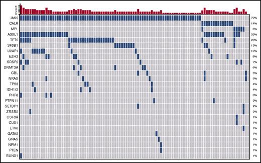 Figure 1. Landscape plot of mutations. Each column represents an individual patient. The bar graph represents the number of mutations per patient.