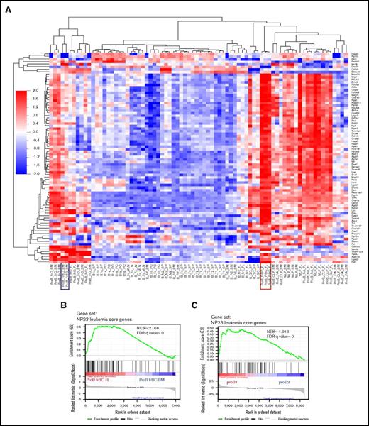 Figure 3. NP23 B-lineage leukemia gene signature is enriched in fetal liver fraction BC and pro–B-1 cells. (A) Heat map shows clustering of 106 NP23 leukemia core genes (>2-fold upregulated in NP23 B-lineage leukemias) in expression array data from isolated B-cell populations (GSE15907). Fetal liver (FL) fraction (Fr) BC profile is boxed in red; bone marrow (BM) fraction BC profile is boxed in blue. (B) GSEA plot showing enrichment of NP23 leukemia core upregulated genes in FL Fr BC compared with BM Fr BC (GSE15907). (C) Enrichment of NP23 leukemia core upregulated genes in pro–B-1 vs pro–B-2 cells23 (GSE81411). FDR, false-discovery rate; LN, lymph node; MLN, mesenteric LN; NES, normalized enrichment score; PC, peritoneal cavity; SP, spleen.