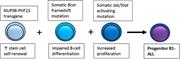 Graphical abstract for: Progenitor B-1 B-cell acute lymphoblastic leukemia is associated with collaborative mutations in 3 critical pathways;