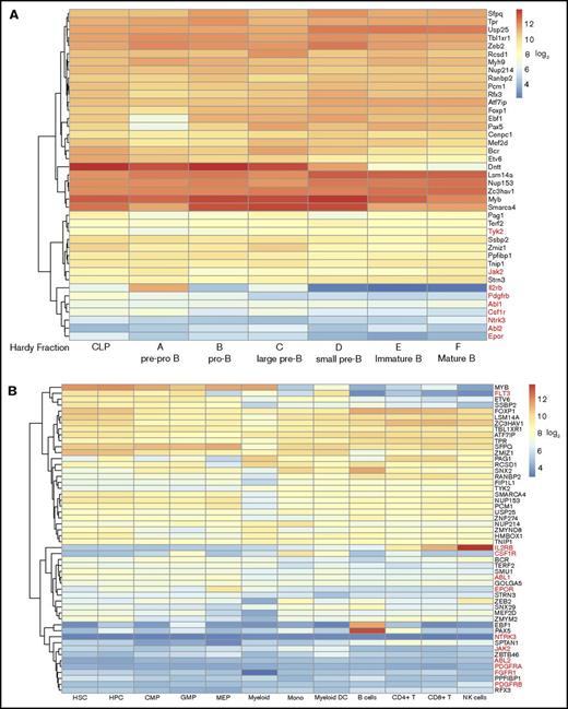 Figure 1. Expression of 5′ and 3′ fusion partner genes during normal ontogeny. Unsupervised clustering of gene expression data from (A) mouse and (B) human hematopoietic cells. Kinase genes are highlighted in red. CLP, common lymphoid progenitor; CMP, common myeloid progenitor; DC, dendritic cell; GMP, granulocyte monocyte progenitor; HPC, hematopoietic progenitor cell; HSC, hematopoietic stem cell; MEP, megakaryocyte-erythroid progenitor; mono, CD14+ monocyte; NK, natural killer.