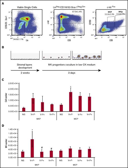 Figure 6. All stromal layers support the proliferation and differentiation of MK-committed progenitors. (A) Gating strategy for the isolation of 2 populations of MK-committed progenitors. Bone marrow Lin-depleted cells were labeled for sorting of a population enriched in MK erythroid bipotent progenitor (MEP) identified as Lin−CD16/32−Sca-1−ckit+CD150+CD9dim and a population of unipotent MK precursor (MKP) cells identified as Lin−CD16/32−Sca-1−ckit+CD150+CD9bright. Dot plots are representative figures with the mean ± SEM from 5 independent experiments. (B) MEP or MK precursors were plated in low-cytokine medium onto stromal layers and cultured for 3 days. (C) The bar graph represents the total number of cells produced. Values represent mean ± SD from 10 independent experiments. *P < .01 vs the nonstroma group. Other comparisons were not statistically significant. (D) The bar graph represents the total number of mature MKs. Values represent mean ± SD produced from 10 independent experiments. *P < .05 vs the nonstroma group; #P < .05 vs stroma V+P−. Other comparisons were not statistically significant. CK, cytokine; NS, no stroma.