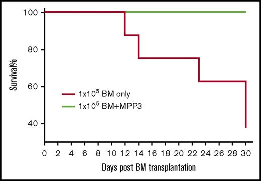 Figure 7. Flagellin-induced MPP3 cells significantly increase mouse survival after bone marrow transplantation. Five thousand MPP3 cells were FACS-sorted from whole bone marrow cells from flagellin-treated mice and transferred to irradiated mice along with 1 × 105 whole bone marrow cells from the same species. In parallel, additional group of mice were irradiated and given whole bone marrow cells only. After bone marrow transplantation, mice were housed under sterile conditions, and survival was observed for 30 days. Both donor and recipients were C57BL/6 mice.