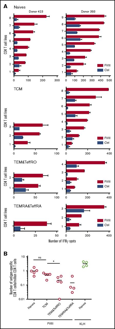 Figure 2. Characterization of FVIII-specific CD4 T-cell subsets. CD4 T cells were separated by flow cytometry into 4 subsets: naïve T cells (CD45RA+ CD45RO− CD127+ CD62L+ CD197+), central memory cells (TCMs; CD45RA− CD45RO+ CD127+ CD62L+ CD197+), effector memory cells and effector cells CD45RO+ (TEM&TeffRO; CD45RA− CD45RO+ CD127+ CD62L−), and effector memory cells and effector cells CD45RA+ (TEMRA&TeffRA; CD45RA+ CD45RO− CD127+ CD62L−; supplemental Figure 1). CD4 T-cell lines were generated from the cells of these subsets by 3 once-per-week rounds of in vitro stimulation with autologous DCs loaded with 0.2 µM of FVIII or 0.25 µM of KLH (for naïve cells only). Specificity of CD4 T-cell lines raised against FVIII or KLH was analyzed by IFN-γ ELISPOT. (A) FVIII-specific T-cell lines obtained from the different CD4 T-cell subsets isolated from 2 representative donors: #393 and #423. (B) Frequencies of FVIII-specific CD4 T cells isolated from the different CD4 T-cell subsets of all donors. Statistical significance was assessed using the Wilcoxon match-pairs signed rank test. *P < .05. Ctrl, control.