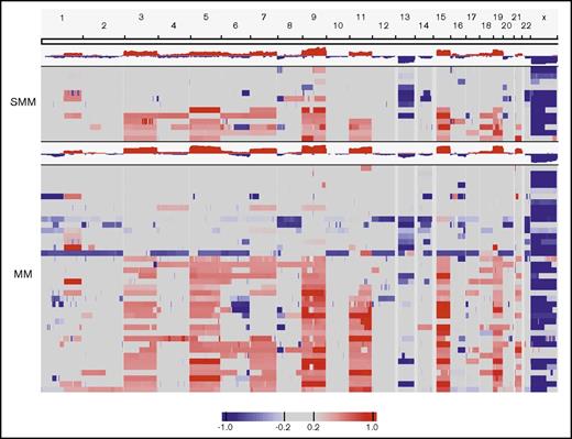 Figure 2. Copy number analysis in patients with either high-risk smoldering myeloma (SMM) or newly diagnosed MM. The 13 patients with SMM and the 40 patients with MM with copy number estimates that passed quality control requirements are shown.