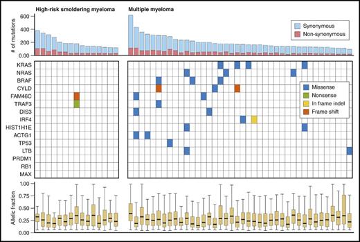 Figure 4. Frequency of mutations in significantly recurrent MM genes among patients with high-risk smoldering myeloma or newly diagnosed MM. Professional illustration by Patrick Lane, ScEYEnce Studios.