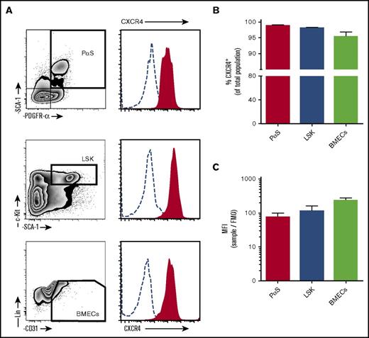Figure 1. CXCR4 surface expression on bone marrow cell populations. Bone marrow cells were collected from mice by bone marrow flush for analysis of CXCR4 expression by flow cytometry. (A) Cells were stained with antibodies to detect mesenchymal progenitor cells (PαS; TER119−CD45−CD31−PDGFRα+SCA1+), hematopoietic progenitor cells (LSK; Lin−cKit+SCA1+), and BMECs (Lin−CD45−CD31+). Histograms of surface CXCR4 expression on cells (solid red areas) were determined by flow cytometry. Open dashed-line histograms represent FMO controls. CXCR4 positive percentage of cells within each population (B) and calculated mean fluorescence intensity for CXCR4 (C) (n = 4 mice per group). Data from 2 independent experiments are represented as mean ± SEM. MFI, mean fluorescence intensity.