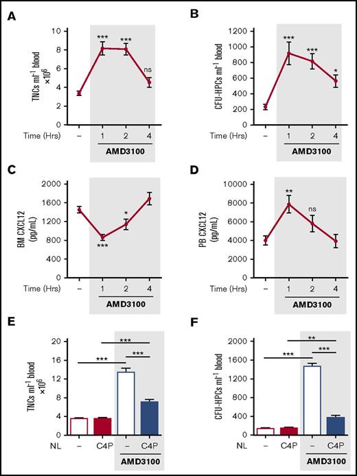 Figure 2. AMD3100-induced changes in CXCL12 gradient coincided with and mediated mobilization of leukocytes and HPCs. (A-D) Mice were administered AMD3100 (5 mg/kg mouse IP) or vehicle (dash), and at varying time points (1, 2, and 4 hours), blood was collected for analysis of circulating total nucleated cells (TNCs) (A) and CFU-HPCs (B) (n = 11-14 mice per group). Femoral bone marrow and peripheral blood were collected for quantification of CXCL12 in bone marrow (BM) supernatant (C) and PB plasma (D), respectively (n = 7-14 mice per group). CXCL12 levels are shown as picograms per milliliter. Data of at least 3 independent experiments are represented as mean ± SEM. *P < .05; **P < .01; ***P < .001 (one-way ANOVA with Dunnett test). (E-F) Mice were administered AMD3100 or vehicle (dash) in the presence or absence of the CXCL12 neutraligand chalcone 4-phosphate (C4P; 1.5 µmol/kg mouse IV), and 1 hour later, blood was collected for analysis of circulating TNCs (E) and CFU-HPCs (F) (n = 5-10 mice per group). TNCs and CFU-HPCs are shown as cells and colonies per milliliter of blood, respectively. Data from at least 2 independent experiments are represented as mean ± SEM. **P < .01; ***P < .001 (one-way ANOVA with Bonferroni test). NL, neutraligand; ns, not significant.