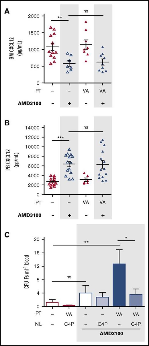 Figure 3. Neutralization of the CXCL12 chemokine gradient in VEGF-A pretreated mice. (A-B) Mice were pretreated with VEGF-A (VA; 100 µg/kg mouse IP) or vehicle (dash) once daily on 4 consecutive days. Twenty-four hours after the last injection, mice were administered AMD3100, and 1 hour later, mice were sacrificed. Femoral bone marrow and peripheral blood were collected for quantification of CXCL12 in BM supernatant (A) and PB plasma (B), respectively (n = 6-15 mice per group). CXCL12 levels are shown as picograms per milliliter. (C) Mice were pretreated with VEGF-A or vehicle (dash) once daily on 4 consecutive days. Twenty-four hours after the last injection, mice were administered AMD3100 or vehicle (dash) in the presence or absence of C4P, and 1 hour later, blood was collected for analysis of circulating CFU-Fs (n = 6-10 mice per group). CFU-Fs are shown as colonies per milliter of blood. Data from at least 2 independent experiments are represented as mean ± SEM. *P < .05; **P < .01; ***P < .001 (one-way ANOVA with Bonferroni test). VA, VEGF-A.