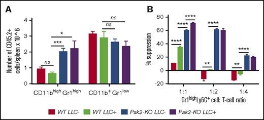Figure 2. Pak2-deficient MDSCs are more suppressive than MDSCs from tumor-bearing mice. Mice reconstituted with WT and Pak2-KO BM were inoculated with LLC cells or PBS control subcutaneously. (A) The numbers of CD45.2+CD11b+Gr1high (representing PMNs and MDSCs) and CD45.2+CD11b+Gr1low cells (representing monocytes) are shown per spleen. (B) Effects of splenic Gr1highLy6G+ cells on T-cell proliferation. Representative data from 2 experiments with 5 to 9 mice per genotype are shown. *P < .05; **P < .01; ***P < .001; ****P < .0001; ns, not significant.