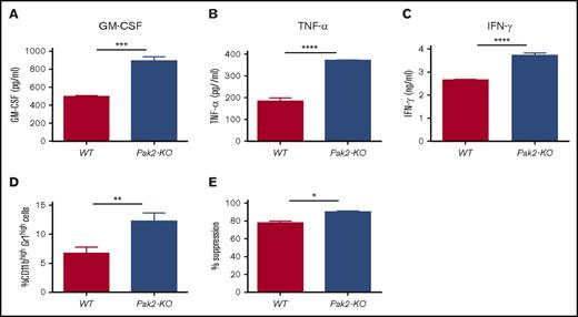 Figure 7. Pak2-deficient T cells induce MDSC generation in vitro. Purified splenic CD4+ T cells from mice reconstituted with Pak2-KO or WT BM were stimulated with CD3/CD28 beads for 3 days before supernatant was collected. (A-C) Amounts of GM-CSF (A), TNF-α (B), and IFN-γ (C) in the supernatant were determined by enzyme-linked immunosorbent assay. Naive C57BL/6 mice BM cells were cultured in the presence of supernatant from Pak2-KO or WT splenic CD4+ T cells for 5 days, collected, and then cocultured with purified splenic T cells from naive C57BL/6 mice to measure their suppressive function on T-cell proliferation. (D-E) The percentage of the CD11bhighGr1high population in panel D and the percentage suppression of T-cell proliferation by BM cells cultured in CD4+ T-cell supernatant (E) are shown. Representative data from 2 or 3 experiments with 3 to 6 mice per genotype are shown. *P < .05; **P < .01; ***P < .001; ***P < .0001.