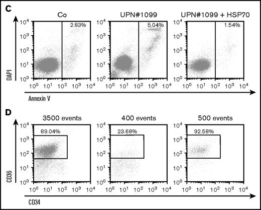 HSP70 overexpression rescued erythroid proliferation and differentiation and decreased the apoptosis of erythroid cells in mutated RPL11+/MutDBA patients. (A) Study of erythroid proliferation (number of cells ×104) between day 6 and days 14 or 15 from CD34+ peripheral blood from various DBA-affected patients carrying a mutation in RPS19 gene (UPN#37) (middle and bottom left plots) or RPL11 gene (UPN#172 (top and middle right plots), UPN#189 (red dot), and UPN#1130 (yellow dot) (bottom right plot) compared with healthy controls (Co) (open circle) or CD34+ cells infected with WT HSP70 cDNA lentivirus (filled circle) (top left plot). Erythroid cells from DBA affected patients have been analyzed with or without WT HSP70 cDNA lentivirus infection. Counting of the erythroid cells has been performed using flow cytometry (shown) and manual count under the microscope in triplicate. Five thousand CD34+ cells have been plated at day 0. Erythroid proliferation has been calculated compared with this number of cells during the time course at days 9, 12, and 14 or 15. (B) Top panel: western blot is shown from the erythroid cells (20 000 cells) obtained at day 10 from CD34+ peripheral blood from a DBA affected patient carrying a mutation in RPL11 gene (UPN#479). CD34+ DBA patients’ cells in erythroid differentiation have been studied without or with wild-type HSP70 cDNA lentivirus infection. HSP70, GATA1, procaspase-3 and β-globin protein expressions have been studied compared with β-actin expression level. Bottom panel: a RPL11+/Mut DBA affected patient exhibited a defect in α-globin and β-globin expression level in accordance with the hemoglobin concentration of the patient. Overexpression of wild-type cDNA HSP70 in erythroid cells from the RPL11+/Mut UPN#172 DBA affected patient restored α-globin and β-globin expression in this patient compared with the normal erythroid cells transduced with wild-type cDNA HSP70. Globin gene expression level has been measured by imaging flow cytometry (ImageStream). (C-D) Representative FACS histogram plots of cultured erythroid cells (10 000 cells) from a healthy control (Co) (left panels), a RPL11+/Mut DBA patient (UPN#1099) (middle panels), and this patient after wild-type HSP70 cDNA lentivirus infection. (C) Apoptosis analysis on the DAPI and annexin V labeling. DAPI−/annexin V+ apoptotic erythroid cells have been quantified in percentage. (D) Erythroid differentiation analysis on the CD34/CD36 labeling. In all the FACS histogram plots, the ordinate and the abscissa measured the number of cells displaying the fluorescent intensity of the different antibody staining.