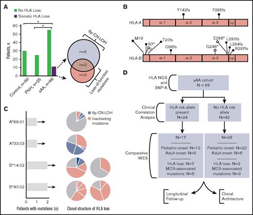 Figure 1. Immunoediting in aAA through recurrent somatic loss of HLA class I. (A) Bar graph showing somatic HLA loss in patients with aAA compared with patients with PNH and healthy control patients. n, number of patients analyzed. *P < .05. Venn diagram shows the mechanism of HLA loss among 11 affected patients. (B) Schematic diagram showing the distribution of inactivating mutations in HLA class I alleles. α-1, α-2, and α-3 represent the α-1, α-2- and α-3 domains of HLA-A and HLA-B proteins; cp, connecting peptide. Frameshift mutations, black circles; nonsense mutations, open circles; mutated start codon, black square. (C) Bar graph showing the number of patients with mutations in a given HLA class I allele, with a corresponding pie chart plot depicting the clonal structure of HLA loss for each affected patient. The size of the pie slice corresponds to the size of each individual clone (percentage of total cells) as estimated from SNP-A analysis and percentage of mutant NGS reads. (D) A flowchart summarizing analyses performed in this manuscript.