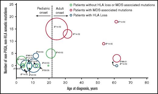 Figure 2. Age-related dichotomy of clonal hematopoiesis in aAA, manifested as frequent HLA loss in younger patients and as MDS-associated somatic mutations in older patients. A bubble scatter plot of somatic mutation analysis of the 17 patients with 1 of the 4 HLA risk alleles (HLA-A*33:03, HLA-A*68:01, HLA-B*14:02, or HLA-B*40:02); each patient is represented by a circle. The number of somatic nonsynonymous coding and regulatory region mutations identified by comparative WES is plotted on the y-axis, with the corresponding patient’s age at aAA diagnosis plotted on the x-axis; duration of disease at sequencing is depicted as the area of each point. PNH clones are not shown. Patients with HLA loss, as determined by the presence of either 6p CN-LOH or inactivating mutations in HLA alleles, are shown in blue. Patients with MDS-associated somatic mutations are shown in red. One patient had a transient clone of whole chromosome 6 CN-LOH early in disease course (blue circle accompanied by curved black arrow at the bottom right), which disappeared and was replaced by a dominant clone with MDS-associated mutations (red circle, indicated by a curved black arrow at the bottom right). HLA risk alleles are indicated next to each of the points; A, HLA-A; B, HLA-B.