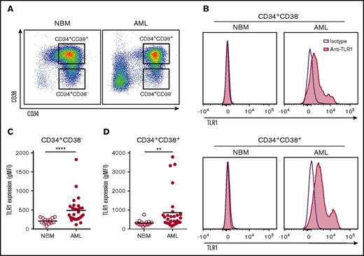 Figure 1. TLR1 was upregulated on about half of the primary human AML samples analyzed. (A) FACS dot plots showing gating of CD34+CD38− and CD34+CD38+ in representative CD34-enriched normal bone marrow (NBM) and primary AML patient samples. (B) Histograms depicting TLR1 expression (purple line: isotype control antibody, red: anti-TLR1 antibody) within CD34+CD38− (top histograms) and CD34+CD38+ (bottom histograms) cells from representative NBM and TLR1-high AML samples, respectively. Geometric mean fluorescence intensity of TLR1 expression in NBM (n = 15) and AML (n = 28) (C) CD34+CD38− and (D) CD34+CD38+ cells. Each dot represents a sample from 1 patient, and horizontal lines indicate mean geometric mean fluorescence intensity for all samples within groups. **P < .01; ****P < .0001.