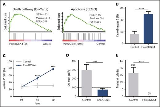 Figure 3. TLR1/TLR2 activation induces apoptosis of AML cells via Caspase 3 activation. (A) In MA9 cells treated with Pam3CSK4, GSEA revealed enriched death pathway (3 hours; left panel) and apoptosis (24 hours; right panel) signatures. (B-E) MA9 cells treated with or without (control) Pam3CSK4 for 3 days. (B) Percentage of cleaved (active) Caspase 3+ cells and (C) percentage of Annexin V+ cells over time. (D) Cell count as determined by flow cytometry, using CountBright beads. Dotted line indicates amount of cells seeded. (E) Number of colonies formed in methylcellulose after 14 days. Shown in all graphs are data from 3 independent experiments, each with 3 replicates. Mean values and SDs are shown. ****P < .0001.