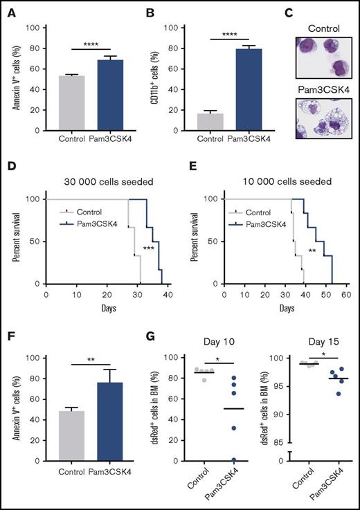 Figure 5. Agonistic targeting of TLR1/TLR2 inhibits leukemia-initiating cells and provides antileukemic effects in vivo. (A-E) Murine c-Kit+ MLL-AF9 AML cells were cultured for 3 days with or without (control) Pam3CSK4. (A) Percentage of Annexin V+ and (B) CD11b+ cells (n = 3). (C) May-Grünwald-Giemsa–stained cytospin slides from representative samples (40× magnification). (D) 30 000 or (E) 10 000 leukemia cells were seeded in wells and cultured with Pam3CSK4 and SCF (Pam3CSK4) or only SCF (control), and then transplanted into sublethally irradiated recipient mice (6 mice per group). For the “30 000 seeded cells,” on average, 9200 control and 115 000 Pam3CSK4-treated cells were injected per mouse. For the “10 000 seeded cells”: 1100 control and 27 000 Pam3CSK4-treated cells were injected per mouse. Kaplan-Meier curves showing overall survival of the mice. (F-G) 100 000 c-Kit+ MLL-AF9 AML cells were transplanted into sublethally irradiated recipient mice (5 mice per group in 2 independent experiments) and treated with Pam3CSK4 (100 μg/dose) or PBS control by intraperitoneal injections 3 times per week starting 1 day posttransplantation. (F) Percentage of Annexin V+ cells in BM at day 10 posttransplantation. (G) Percentage of dsRed+ leukemia cells in BM at day 10 (left) or day 15 (right) posttransplantation. Mean values and standard deviations are presented. *P < .05; **P < .01; ***P < .001; ****P < .0001.