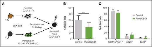 Figure 6. TLR1/TLR2 activation has mild effects on long-term bone marrow repopulating cells. 10 000 sorted LSK cells were cultured for 3 days with (CD45.1+CD45.2+, Pam3CSK4 group) or without (CD45.1+, control group) Pam3CSK4. Control and Pam3CSK4-treated cells were then pooled and transplanted into lethally irradiated CD45.2+ mice along with 200 000 support cells from CD45.2+ mice (12 mice per group). (A) Schematic picture of the experiment. (B) Percentage of donor cells in bone marrow and (C) lineage distribution within donor cells in the peripheral blood 16 weeks posttransplantation. Mean values and SDs are shown. ***P < .001.