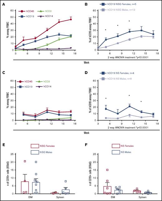 Figure 2. B-cell levels in PB are higher in NSG and NS female vs male recipient mice injected with FL CD34+ cells. Sublethally irradiated NSG or NS mice were injected with 1.5 × 105 to 2.5 × 105 FL CD34+ cells and grafted with autologous human fetal thymus under the kidney capsule. (A-D) Human peripheral chimerism was measured by flow cytometry in PB every 3 weeks (2 FL samples; n = 18 NSG and n = 12 NS mice). Means of multilineage chimerism among total (mouse plus human) PBMCs are shown over time. Bars represent + SEM. (E-F) Mice were euthanized between weeks 20 and 22 after transplantation, and BM and spleen were collected and analyzed. Mean + SEM of CD19 number are shown. Each square represents a single mouse. *P < .05 (statistically significant) calculated by Sidak’s multiple comparison test.