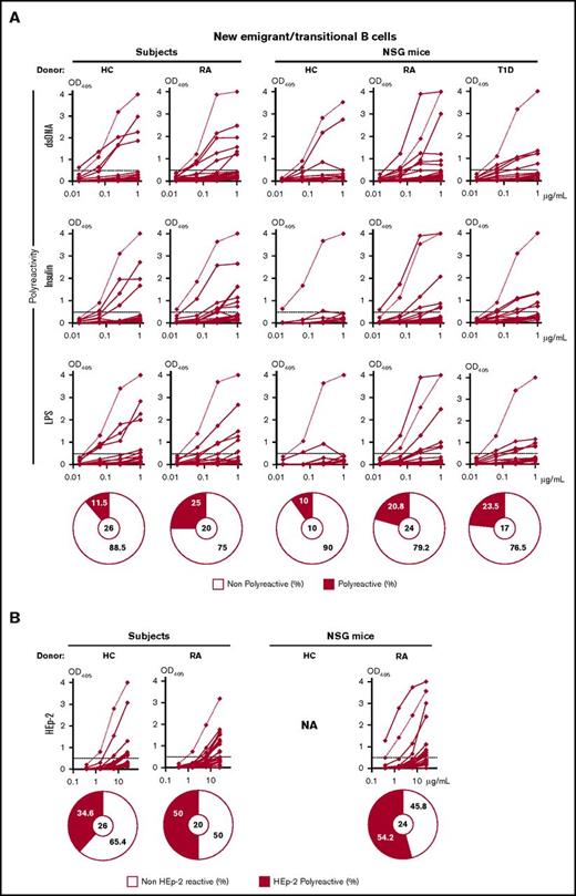 Figure 5. Impaired central B-cell tolerance in RA and T1D humanized mice. Single CD19+CD21loCD10+IgMhiCD27– new emigrant/transitional B cells were sorted from PB of 1 HC and 1 RA donor, and from the spleen of 1 HC, 1 RA, and 1 T1D humanized mouse. Expression cloning was carried out as described31 and antibodies from new emigrant/transitional B-cell clones were tested by enzyme-linked immunosorbent assay for reactivity against (A) double-stranded DNA (dsDNA), insulin, and lipopolysaccharide (LPS) or for (B) anti human epithelial type 2 (HEp-2) cell reactivity. Dotted lines show monoclonal polyreactive antinuclear antibody control (ED38+) and solid lines show binding for each cloned recombinant antibody. Horizontal lines define cutoff optical density at 405 nm (OD405) for positive reactivity. For each sample, the frequency of polyreactive (filled area) and nonpolyreactive (open area) clones is summarized in pie charts, with the total number of clones tested indicated in the centers.