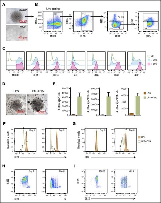 Figure 4. Phenotype and functionality of MODP-derived DCs. (A-C) Sorted MODPs and MOPs were plated at 3000 cells/well and cultured in the presence of Flt3L and 1 ng/mL M-CSF for 8 days. (A) Microscopic illustration of MODP- and MOP-derived DC cultures at day 8. (B) FACS plots depicting the percentages of cDCs and pDCs within MHCII+CD11c+CD11b+ cells in MODP-derived DC cultures. (C) Detection of indicated markers on MODP-derived DCs after incubation with or without LPS for 16 h. (D-H) LPS-stimulated DCs were loaded with OVA or not and cocultured with CFSE-labeled, Vβ5+ CD8+ OT-I and CD4+ OT-II T cells. (D) Microscopic illustration of cocultures at day 3. (E) Quantification of T-cell expansion, expressed as absolute number (#) of live Vβ5+, CD8+, or CD4+ T cells per well (n = 2). (F-G) Histograms depicting the proliferation of CD8+ (F) and CD4+ (G) T-cell coculture, as detected by CFSE dilution. (H-I) Plots depicting CD69 expression on dividing CD8+ (H) and CD4+ (I) T cells. Data are representative of 3 experiments.