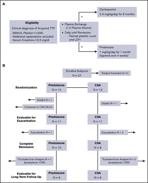 Figure 1. Treatment plan and description of outcomes for enrolled subjects. (A) The eligibility and treatment schema for the study are shown. Eligible patients were randomly assigned to prednisone or CSA 1:1 in a prespecified manner. (B) The eligibility and treatment schema for the study are shown. A total of 11 subjects in each arm were evaluable for the primary outcome of exacerbation. Of the 18 subjects evaluable for long-term relapse rate, 3 subjects (1 in the prednisone arm, 2 in the CSA arm) elected to receive prophylactic therapy and were not evaluable for relapse.