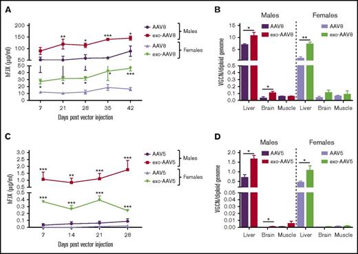 Figure 2. Efficiency of liver transduction with exo-AAV vectors in vivo. (A-B) Naive male and female C57BL/6 mice (n = 5) treated with exo- or standard AAV8-hF.IX vectors at 5 × 1010 vg per mouse. (A) Plasma hF.IX levels measured by enzyme-linked immunosorbent assay (ELISA). (B) Vector genome copy number (VGCN) per diploid genome at sacrifice (day 42) in liver and other tissues. (C-D) Naive male and female C57BL/6 mice treated with exo- or standard AAV5-hF.IX vectors at 1 × 109 vg per mouse. (A) Plasma hF.IX levels measured by ELISA. (B) VGCN per diploid genome at sacrifice (day 42) in liver and other tissues. Data are shown as mean ± SEM. For hF.IX plasma levels, a 2-way ANOVA with Bonferroni posttest was used to determine statistical significance; for VGCN, an unpaired Student t test was used. *P < .05; **P < .01; ***P < .001.