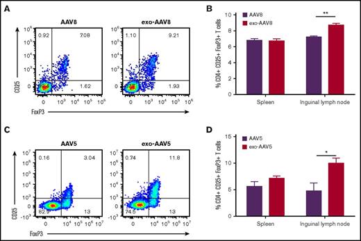 Figure 4. Frequency of regulatory T cells in spleen and lymph nodes. (A-B) Male C57BL/6 mice (n = 5) injected with 1 × 109 vg of exo- or standard AAV8-hF.IX and euthanized 2 weeks later. (A) Representative flow cytometry plot showing the frequency of CD25+FoxP3+ Tregs gated on CD3+CD4+ T cells. (B) Frequency of Tregs in spleens and inguinal lymph nodes. (C-D) Analysis of frequency of Tregs in male C57BL/6 mice (n = 5 per group) treated with 1 × 109 vg of exo- or standard AAV5-hF.IX and euthanized 28 days later. Data are shown as mean ± SEM. *P < .05, **P < .01; Mann-Whitney U test.