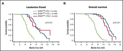 Figure 2. BRAFV600E produces more aggressive disease in the Eμ-TCL1 mouse model. B-cell–specific expression of BRAFV600E significantly shortens (A) leukemia onset and (B) overall survival (P < .001 comparing BRAFVE vs BRAFWT and BRAFCA for both onset and overall survival).